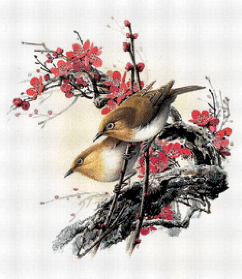 птички - птицы - предпросмотр