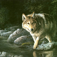 Оригинал схемы вышивки «волк» (№614973)