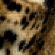 Предпросмотр схемы вышивки «Леопард» (№614994)