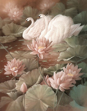 Лебеди - лебеди, птицы - оригинал