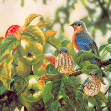 Схема вышивки «птички»
