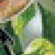 Предпросмотр схемы вышивки «№615270»