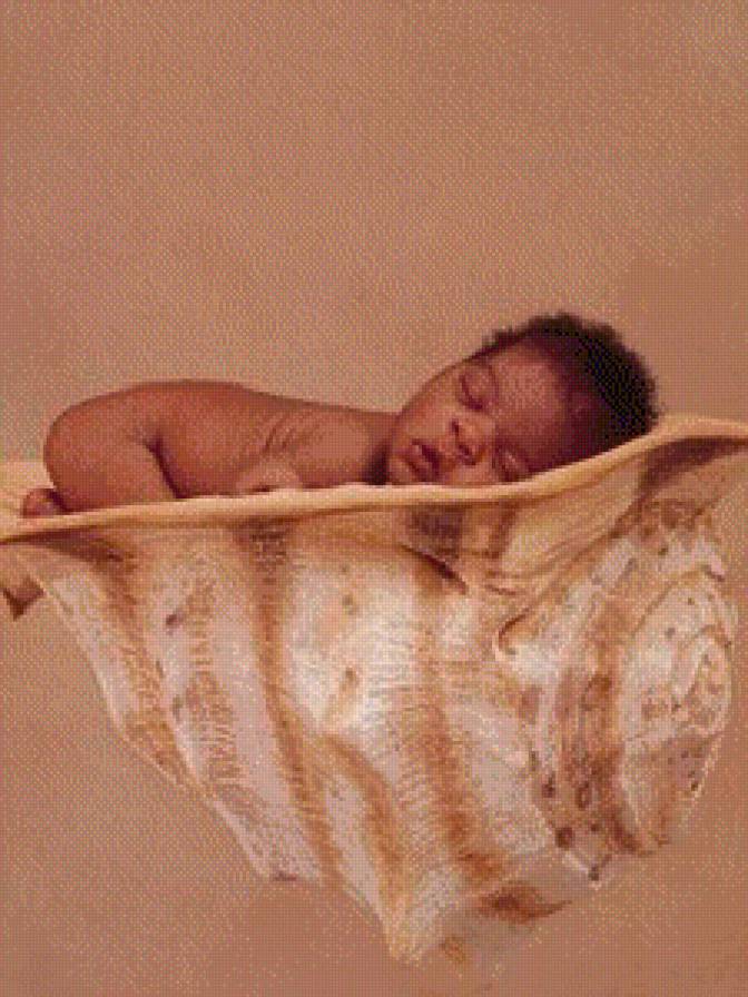 Соня - ребенок, малыш, ракушка - предпросмотр