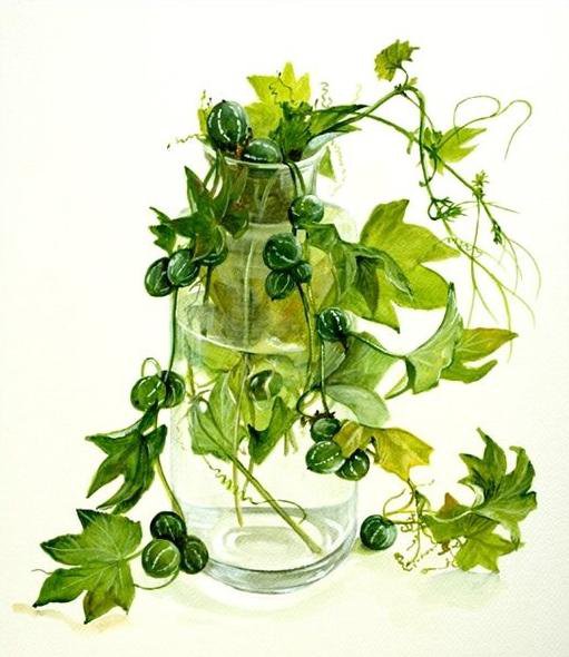 Вьюн. - оригинал