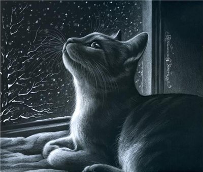 серия "Кошки" 11 - природа. животные. кошка - оригинал