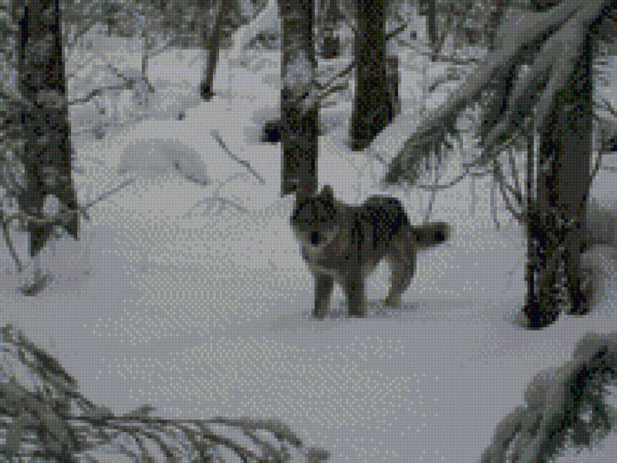 лайка - предпросмотр