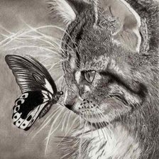 Оригинал схемы вышивки «Котик с бабочкой» (№615579)