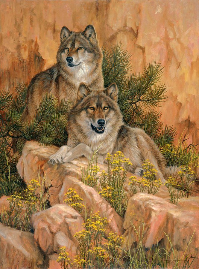 Волки - волки, картина, животные - оригинал
