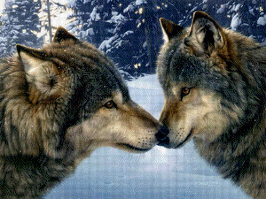 Коллекция "Волки" - животные, волки - предпросмотр