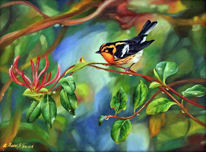 Из цикла птички. - оригинал