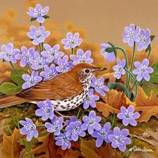 Схема вышивки «ПРОЛІСКИ»