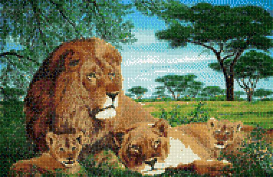 семья львов - предпросмотр