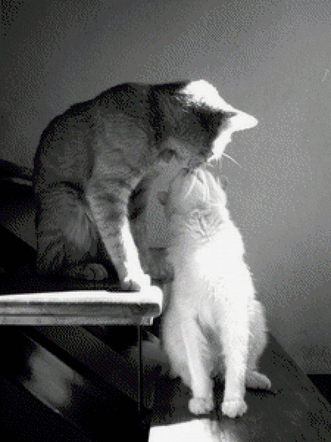 №615813 - предпросмотр