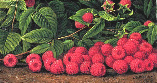 №616005 - оригинал