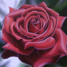 Оригинал схемы вышивки «роза с каплями росы» (№616094)