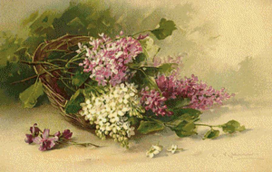 Сирень. - предпросмотр