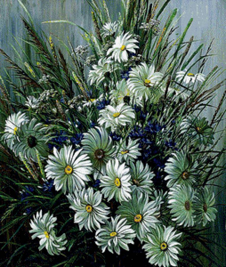 Ромашки - ромашки, цветы - предпросмотр