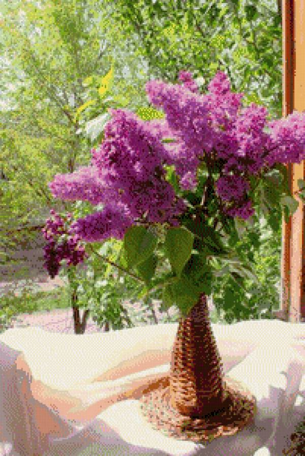 серия "сирень" - цветы.сирень - предпросмотр