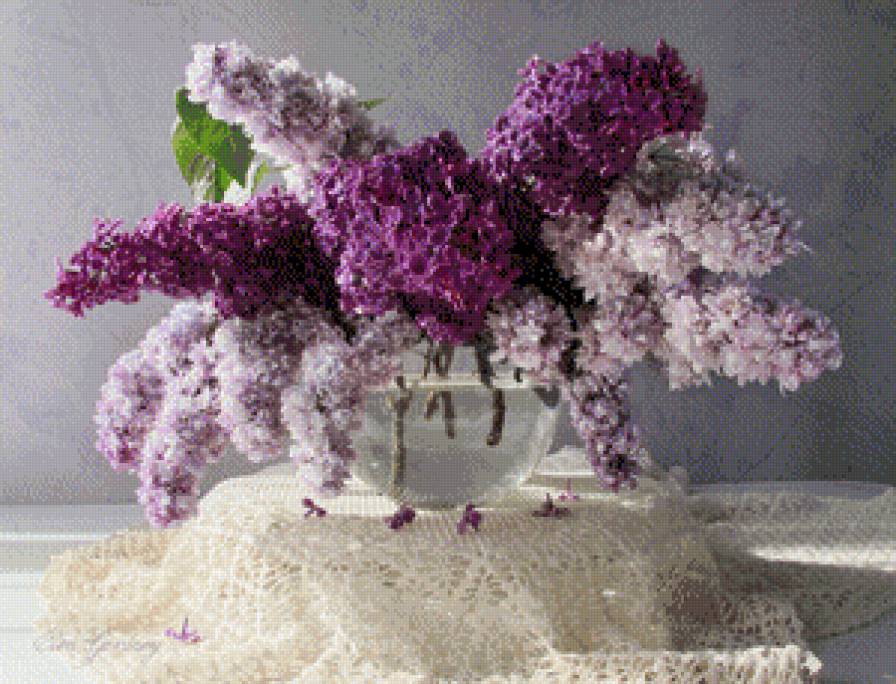 серия "сирень" - цветы.сирень - предпросмотр