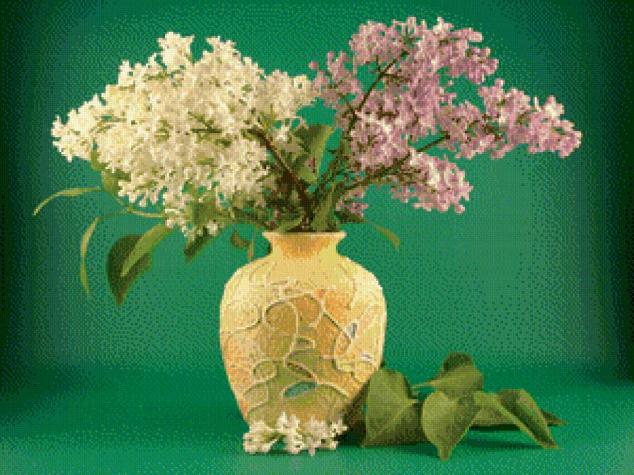 серия "сирень" - цветы.сирень - предпросмотр