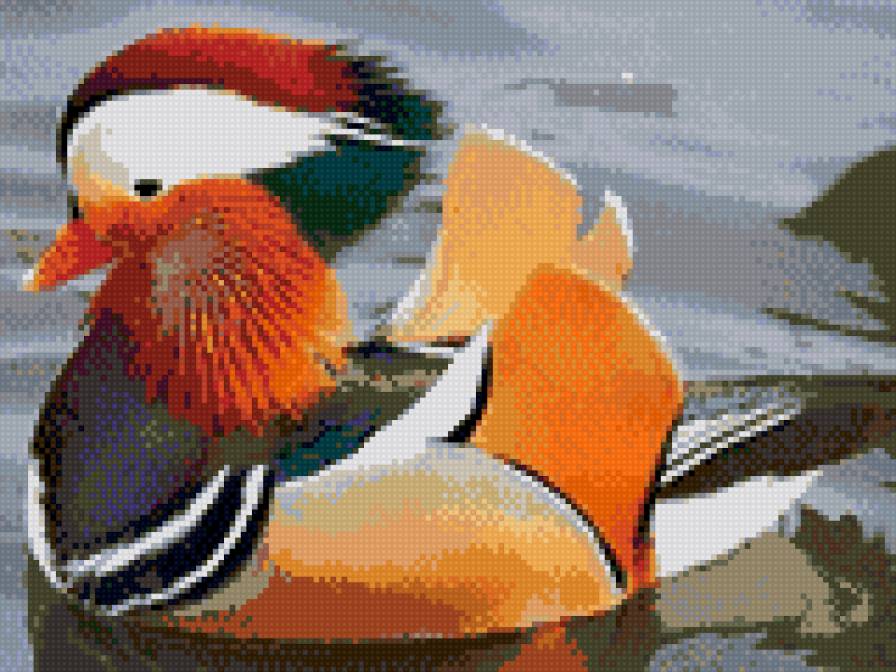 Одна мандаринка - предпросмотр