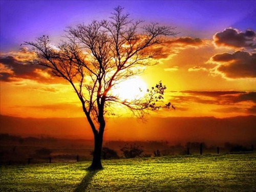 32 - природа, пейзаж - оригинал