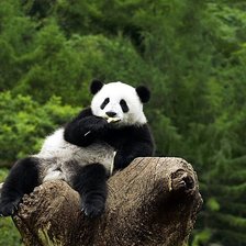 Схема вышивки «33»