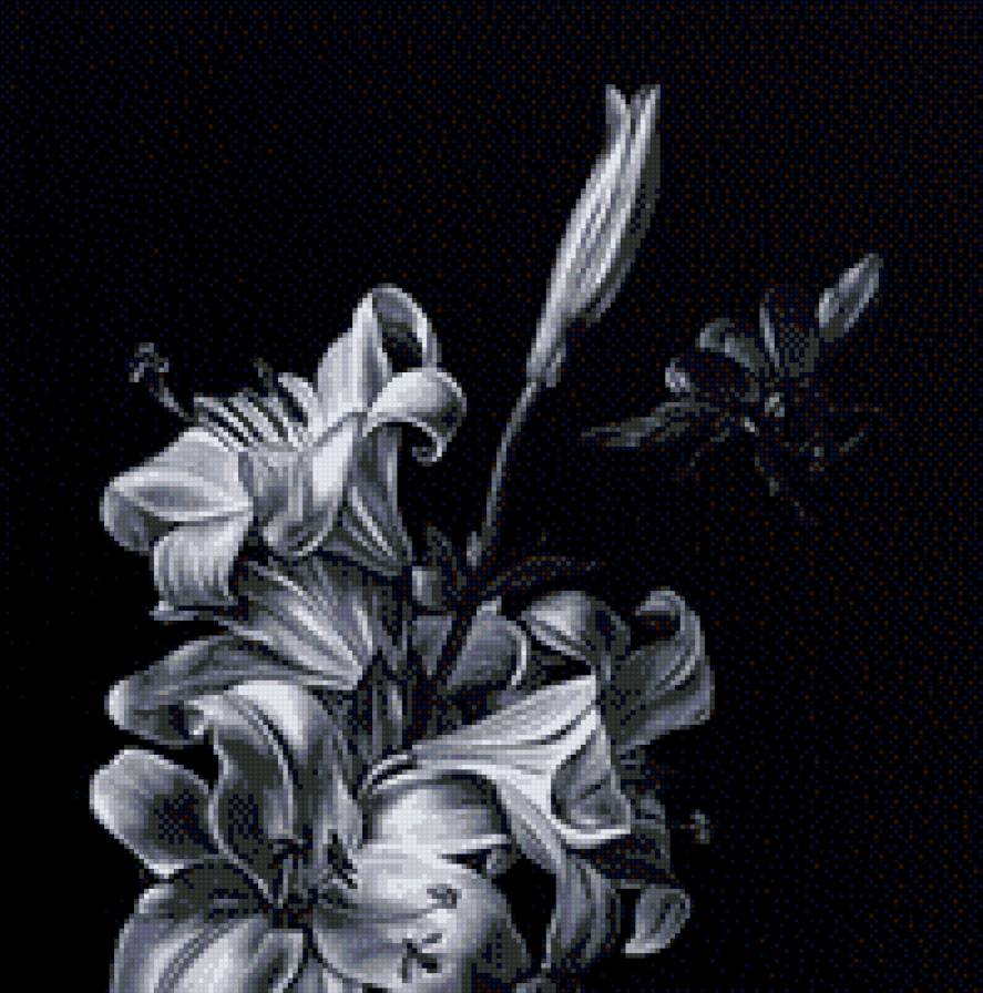 цветы - цветы, монохром - предпросмотр