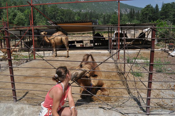 Турция - оригинал