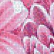Предпросмотр схемы вышивки «Хризантемы» (№616637)