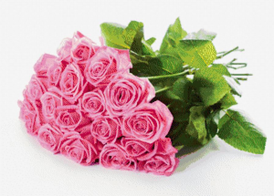 букет роз - праздник, розы, букет - предпросмотр