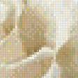 Предпросмотр схемы вышивки «белые розы» (№616676)