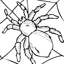 Схема вышивки «паучек»