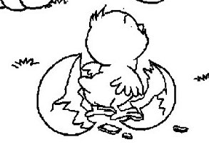 цыпленок - оригинал