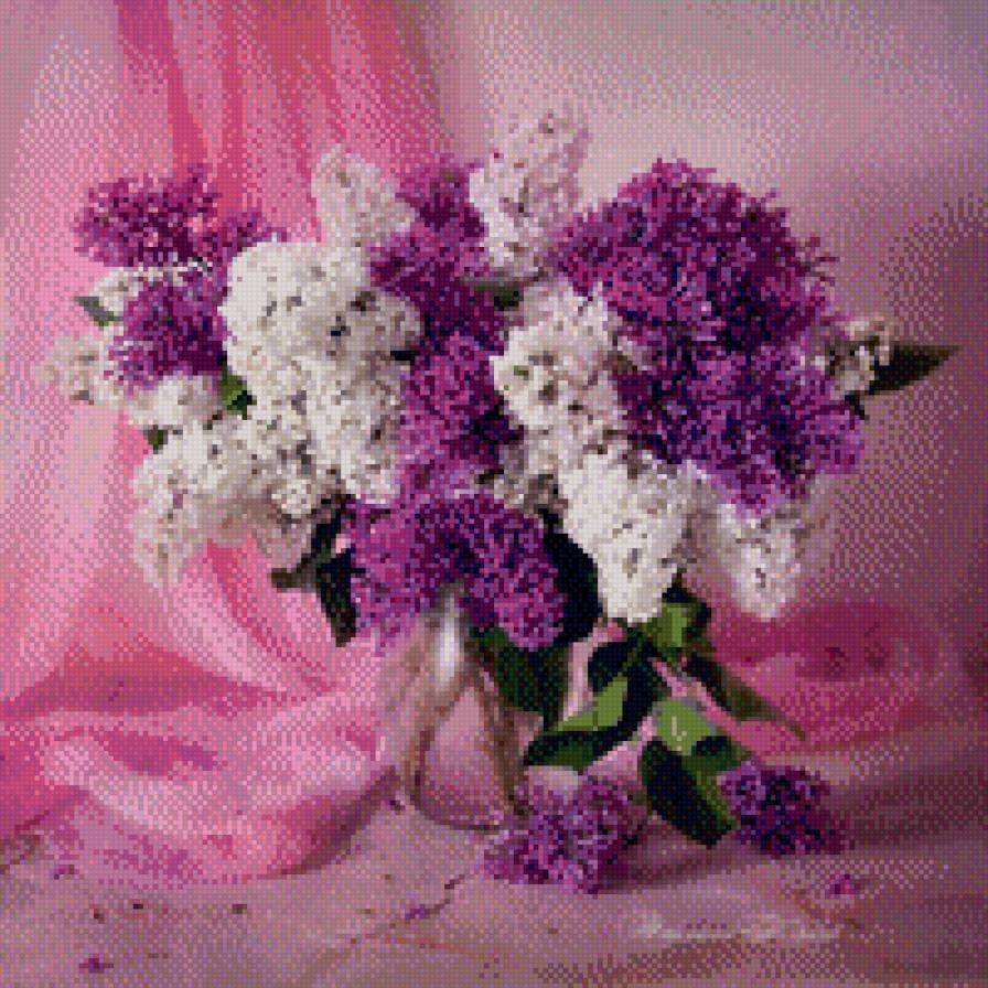 сирень - предпросмотр