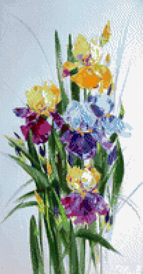 букет ирисов - цветы, белый фон, ирисы - предпросмотр