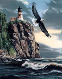 полет орла над морем - птицы - оригинал