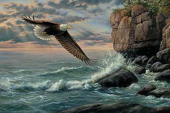 орел - птицы - оригинал