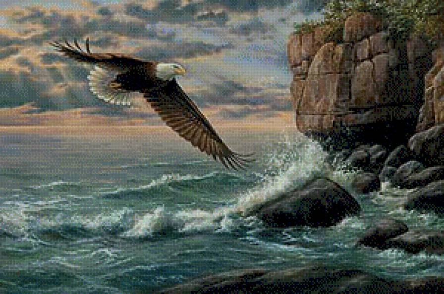 орел - птицы - предпросмотр