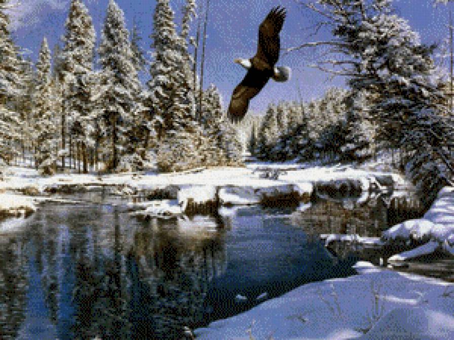 орел - птицы - предпросмотр