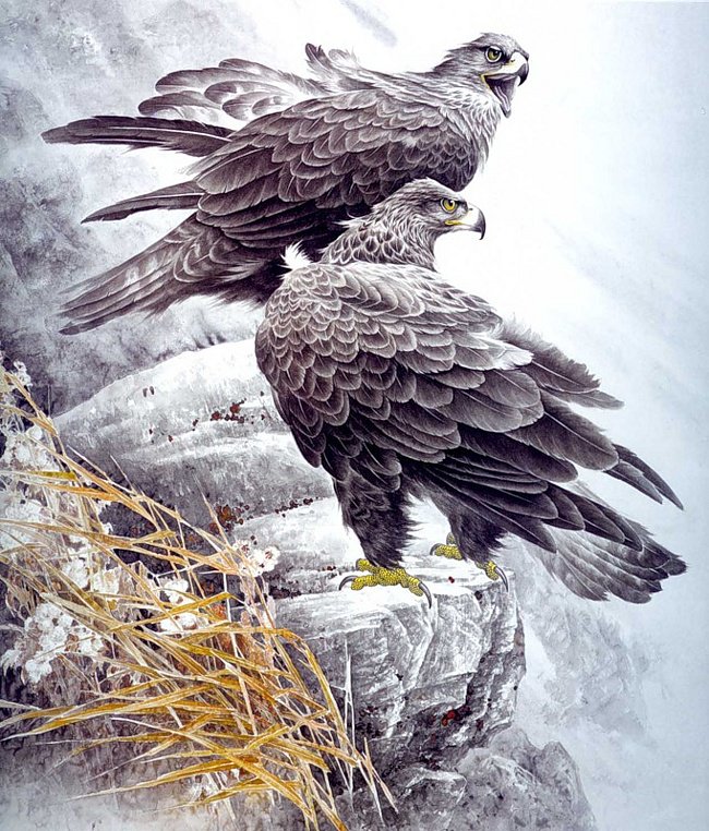 орлы - птицы - оригинал