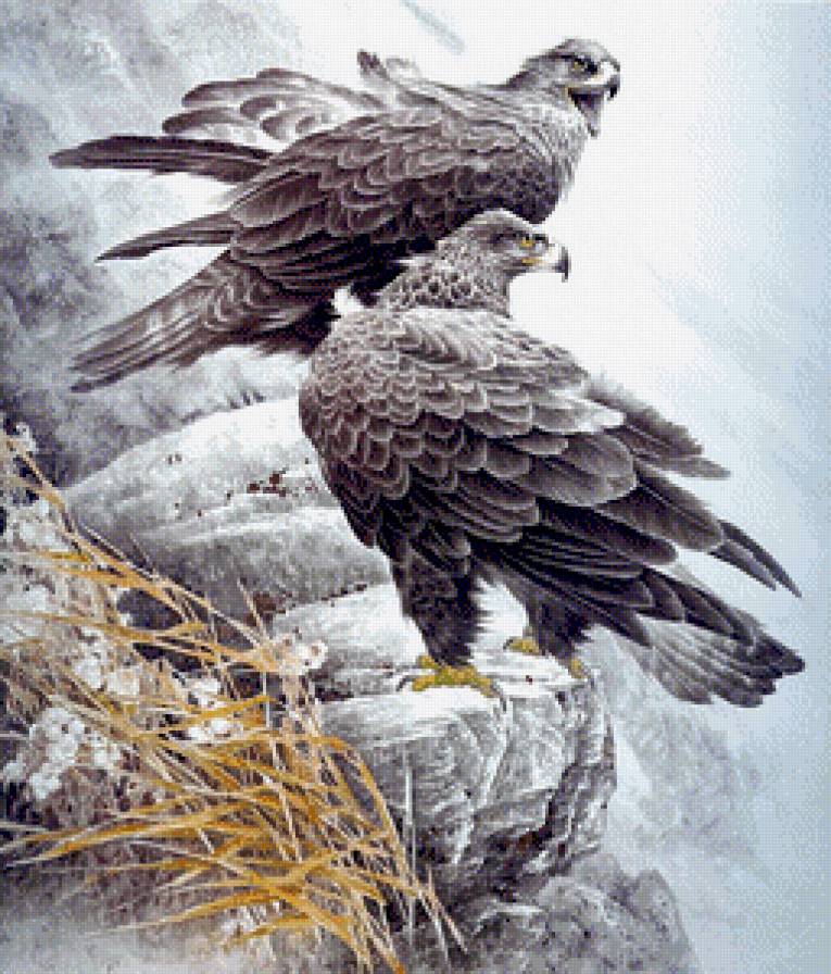 орлы - птицы - предпросмотр