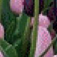 Предпросмотр схемы вышивки «тюльпанчики» (№616911)