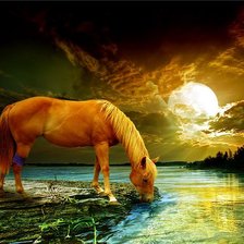 Схема вышивки «водопой»