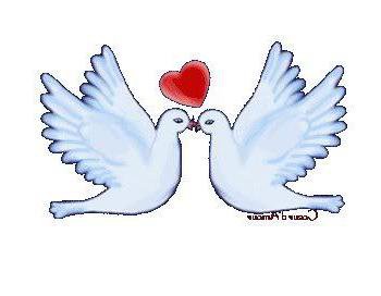 ГОЛУБИ - оригинал