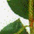 Предпросмотр схемы вышивки «№617257»