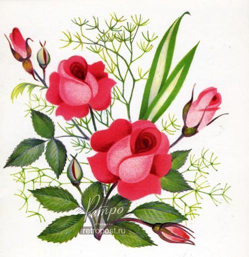 Роза1 - оригинал