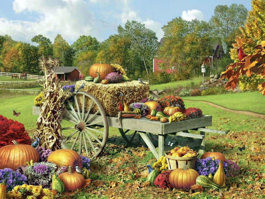 zucche - оригинал