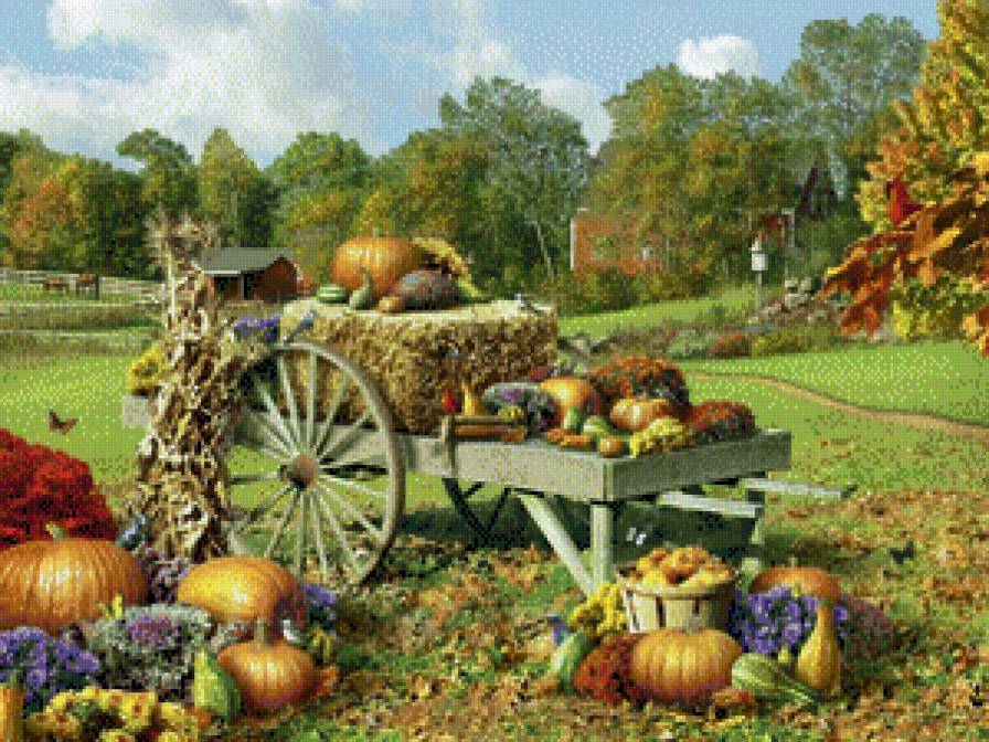 zucche - предпросмотр