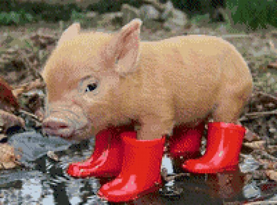 Хрюшка в сапогах - животные - предпросмотр